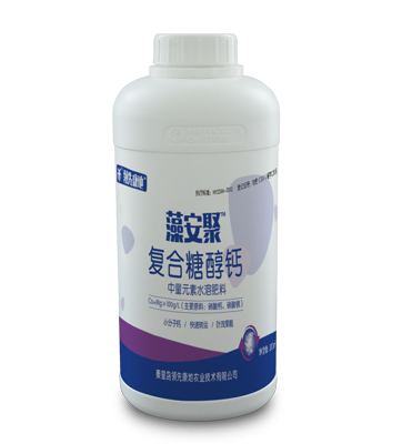 �尲�۸����Ǵ���